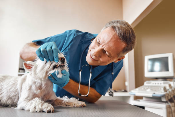 Best Walk-In Emergency Dentist in La Follette, TN